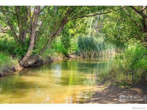 1805 Tyler Avenue, Longmont CO 80501