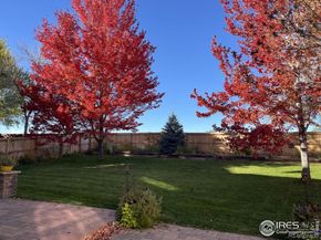 12727 W 85th Circle, Arvada CO 80005
