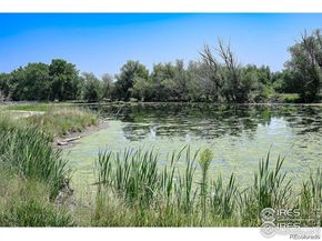 8775 W Cornell Avenue 8, Lakewood CO 80227