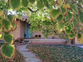 6164 Brentwood Street, Arvada CO 80004