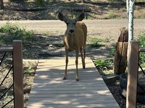 11987 W Ranch Elsie Road, Golden CO 80403