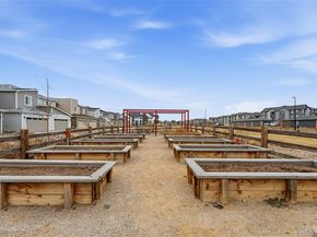 12335 Festival Lane, Northglenn CO 80241