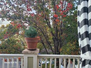 5343 W 16th Avenue, Lakewood CO 80214