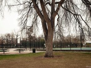 4544 Vrain Street, Denver CO 80212