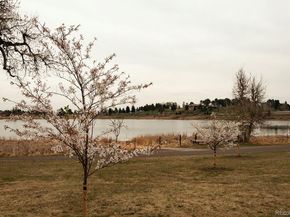 4544 Vrain Street, Denver CO 80212