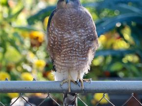 6266 S Valleyview Street, Littleton CO 80120