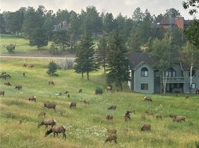 24056 Currant Drive, Golden CO 80401