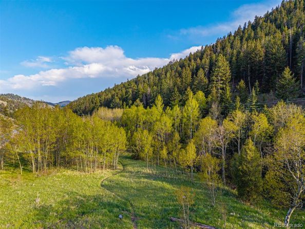 5896 Peregrine Trail, Golden CO 80403