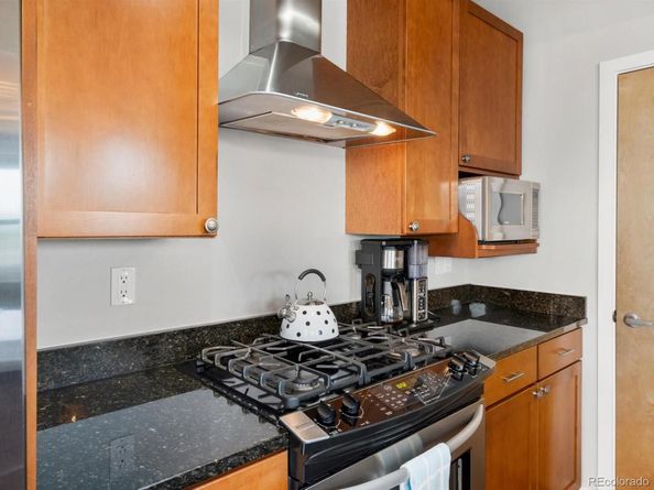 1313 S Clarkson Street 307, Denver CO 80210
