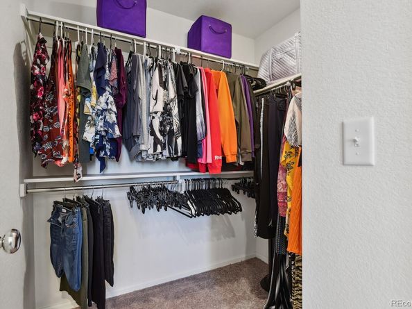 5121 N Yampa Street, Denver CO 80249