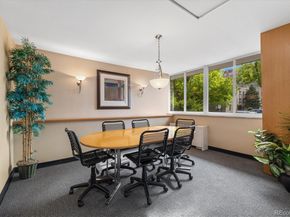 1196 N Grant Street 501, Denver CO 80203