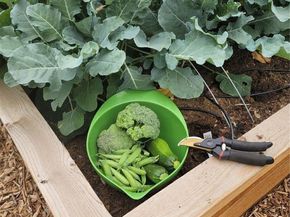 1401 Garrison Street, Lakewood CO 80215