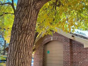 1672 W Canal Circle 412, Littleton CO 80120