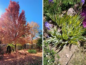 5398 S Jay Drive, Littleton CO 80123