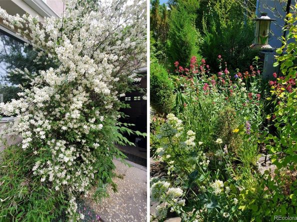 5398 S Jay Drive, Littleton CO 80123