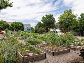 4523 W 36th Place, Denver CO 80212