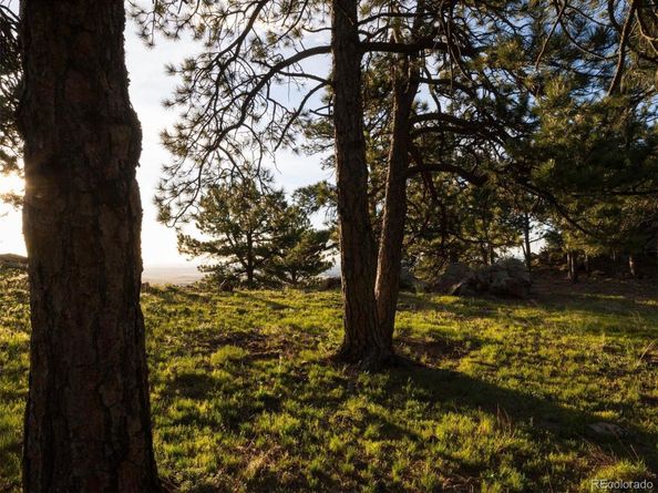 64 Canyon Pines Drive, Golden CO 80403