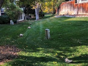 Undisclosed Address #8692334, Littleton CO 80120