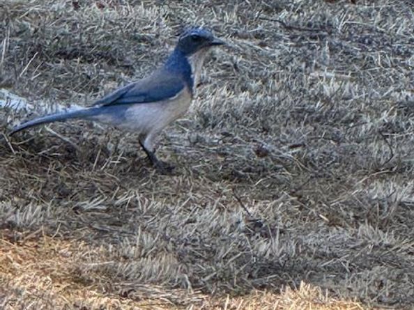 23 Valley View Court, El Sobrante CA 94803