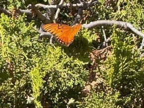 23 Valley View Court, El Sobrante CA 94803