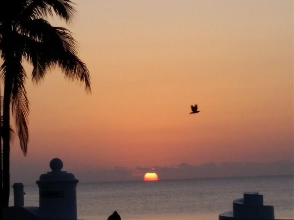 900 NE 18th Ave 602, Fort Lauderdale FL 33304