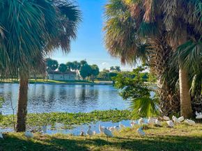 3402 Cynthia Lane 205, Lake Worth Beach FL 33461