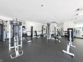 5911 Edsall Road 206, Alexandria VA 22304