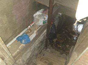 245 Linden Avenue, Glenside PA 19038