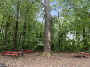 6147 Leesburg Pike 107, Falls Church VA 22041