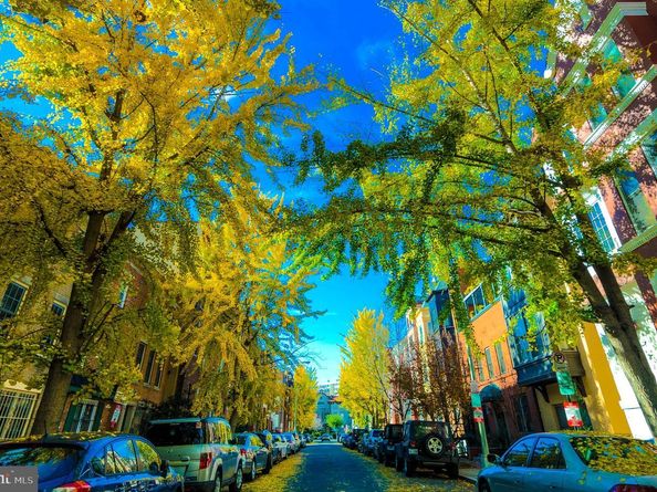 1715 15TH Street NW 41, Washington DC 20009