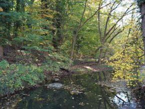 22 Scenic Road, Springfield PA 19064
