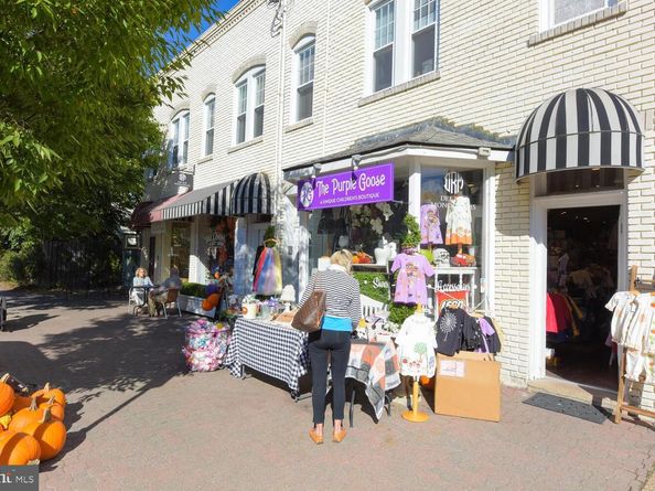 6 W Mount Ida Avenue, Alexandria VA 22305