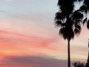 828 S Bedford Street 202, Los Angeles CA 90035
