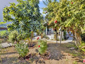 2247 W 14th Street, Los Angeles CA 90006