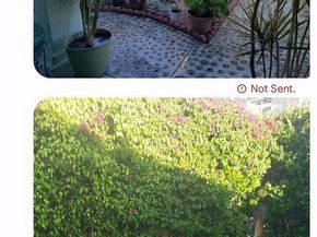 3771 S Catalina Street, Los Angeles CA 90007