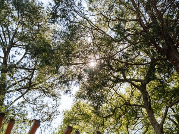 1231 Old Topanga Canyon Road, Topanga CA 90290