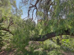 4615 Pico 3, San Diego CA 92109