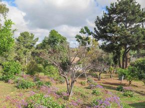 3861 Grandview Pl, Bonita CA 91902