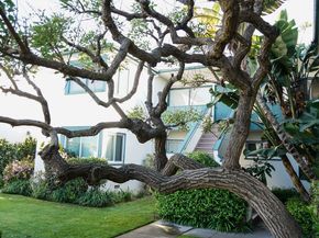 2033 Euclid Street 7, Santa Monica CA 90405
