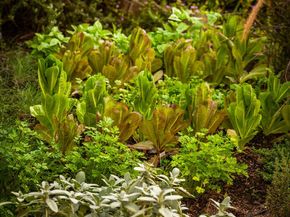 2403 Lanterman Terrace, Los Angeles CA 90039