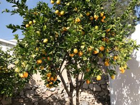 2507 Rockdell Street, La Crescenta CA 91214