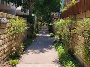 4231 Sarah Street 15, Burbank CA 91505