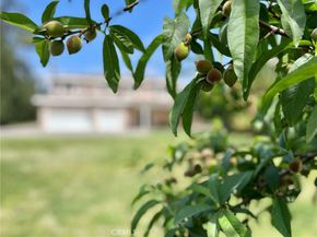 9942 Howland Dr, Temple City CA 91780