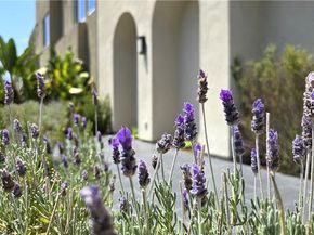 610 Cultivate, Irvine CA 92618