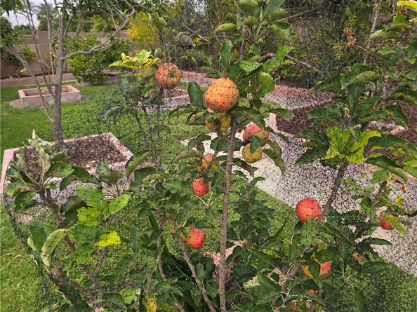 3115 W Teranimar, Anaheim CA 92804