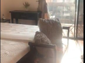 1758 E 2nd Street 204, Long Beach CA 90802