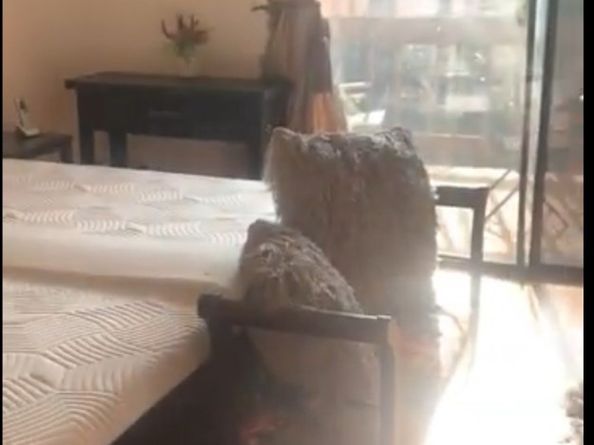 1758 E 2nd Street 204, Long Beach CA 90802