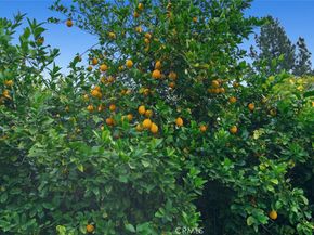 9054 Darby Avenue, Northridge CA 91325