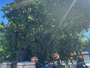 222 W 87th, Los Angeles CA 90003