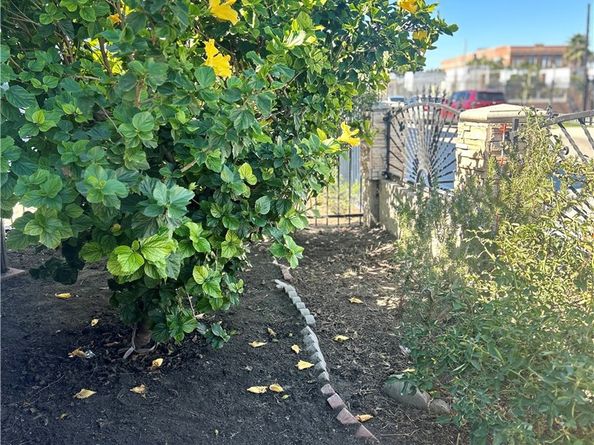 222 W 87th, Los Angeles CA 90003